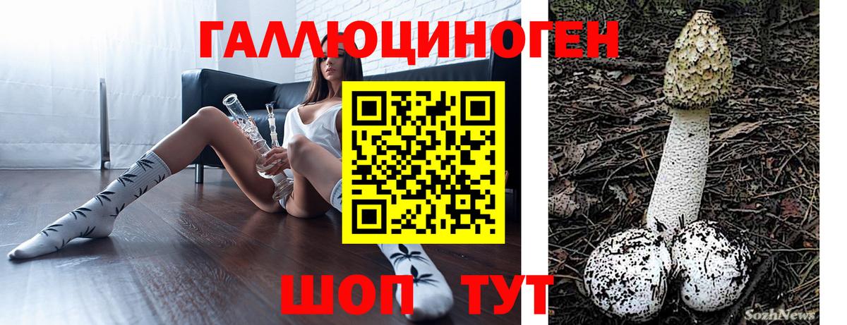 Новосибирск  Галлюциногенные грибы мухоморы  Вход с VPN 