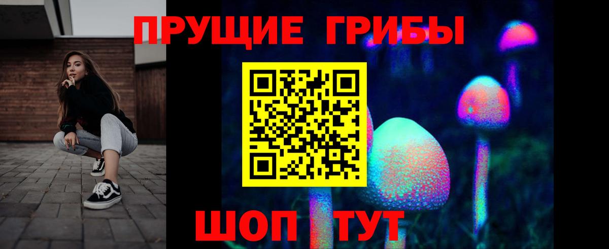 Псилоцибиновые грибы мицелий Новосибирск